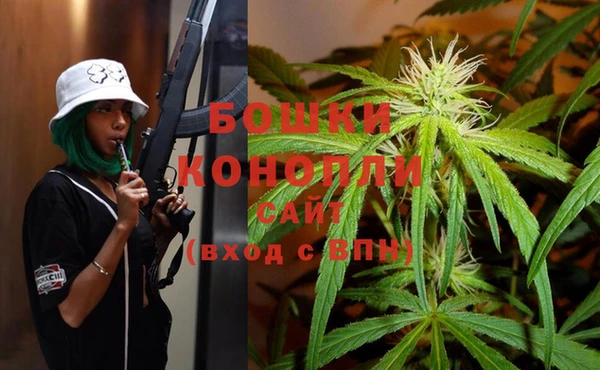 эйфоретик Майский