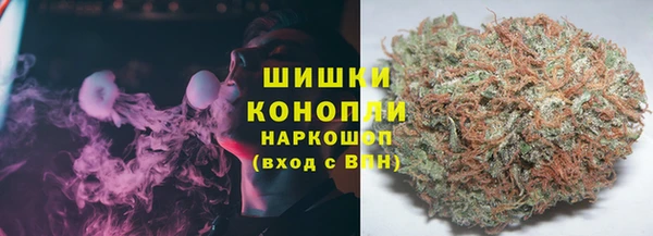 альфа пвп Медвежьегорск